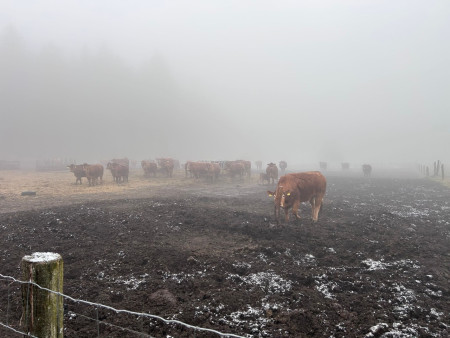 I přes nepříznivé počasí jsme si výlet užili